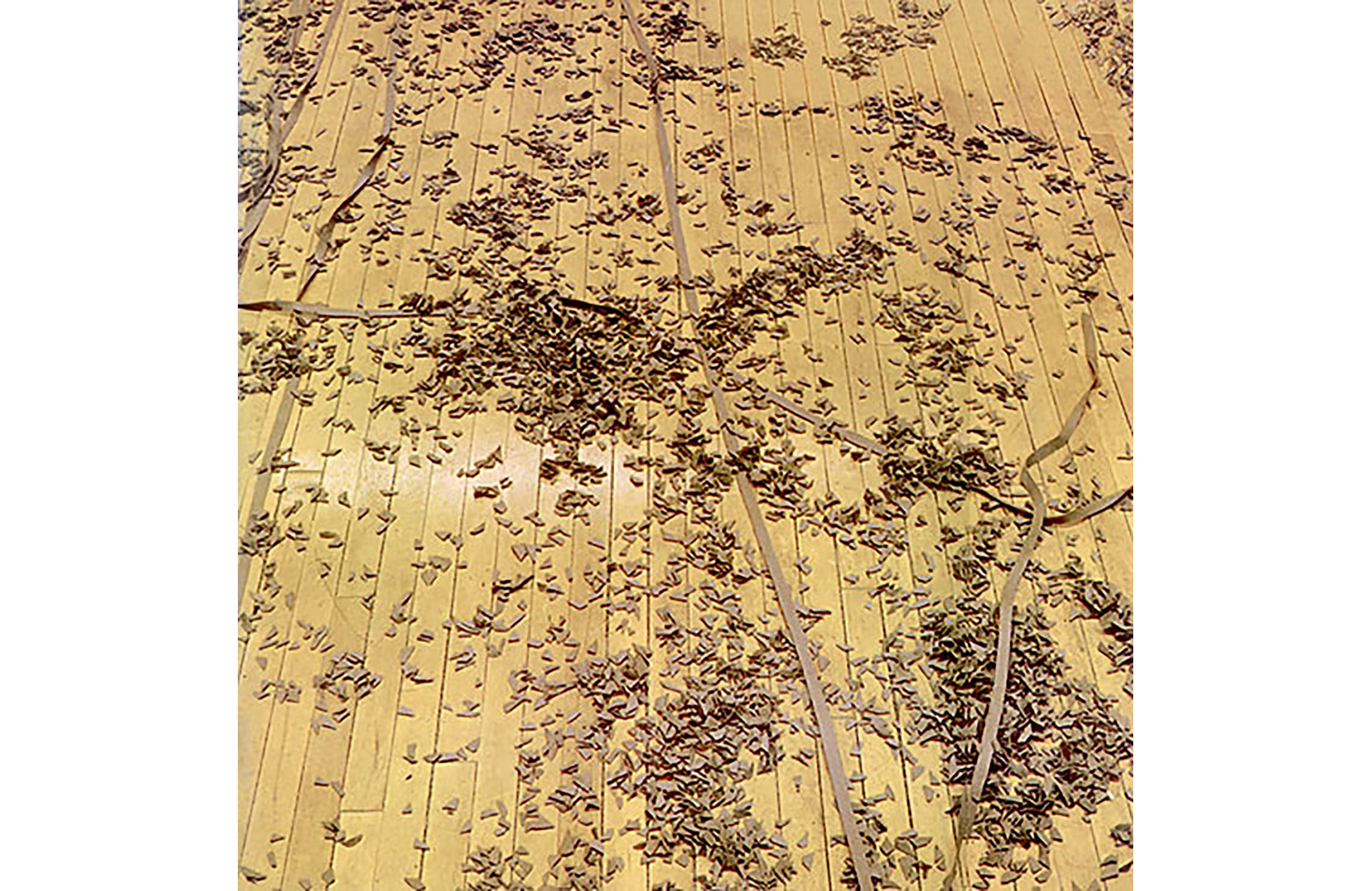 Distribution Piece, Particles and Strips