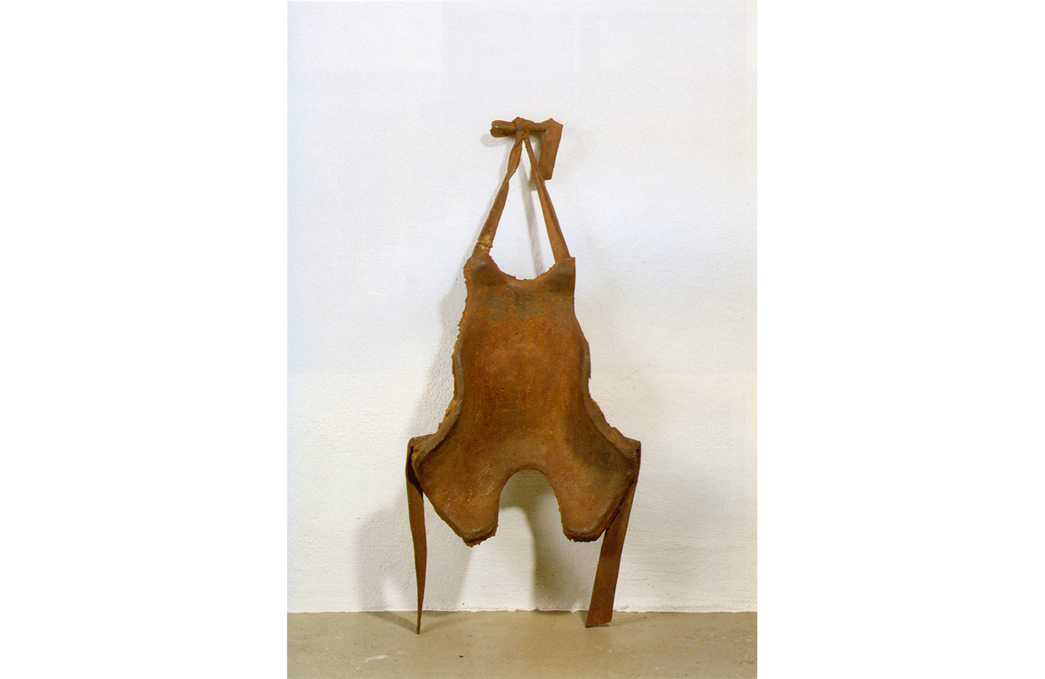Backrest for a Fine-Limbed Person (Hare-Type) of the 20th Century A.D.